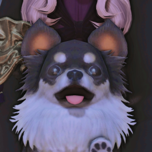 ChewyProfile.png